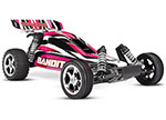 Pink Bandit®: 1/10 Scale Off-Road Buggy with TQ™ 2.4GHz radio system